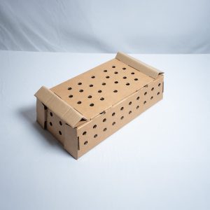 Boîte à  poussins