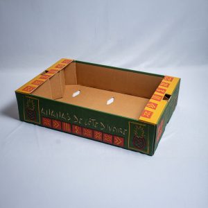 Plateau fruit ananas
